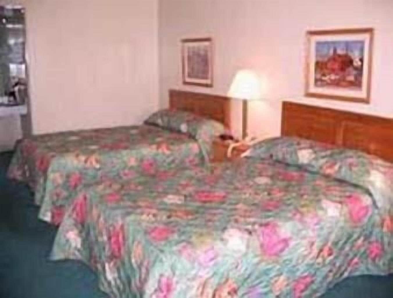 Days Inn By Wyndham ニュー・フィラデルフィア 部屋 写真